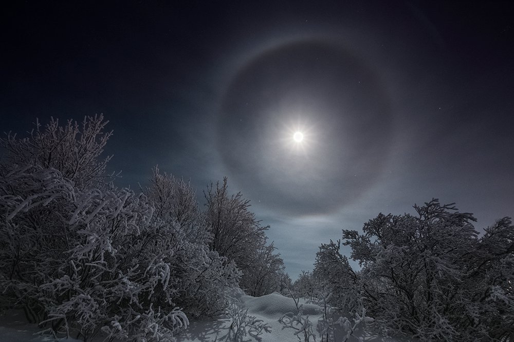 Photograph by Парамонов Григорий