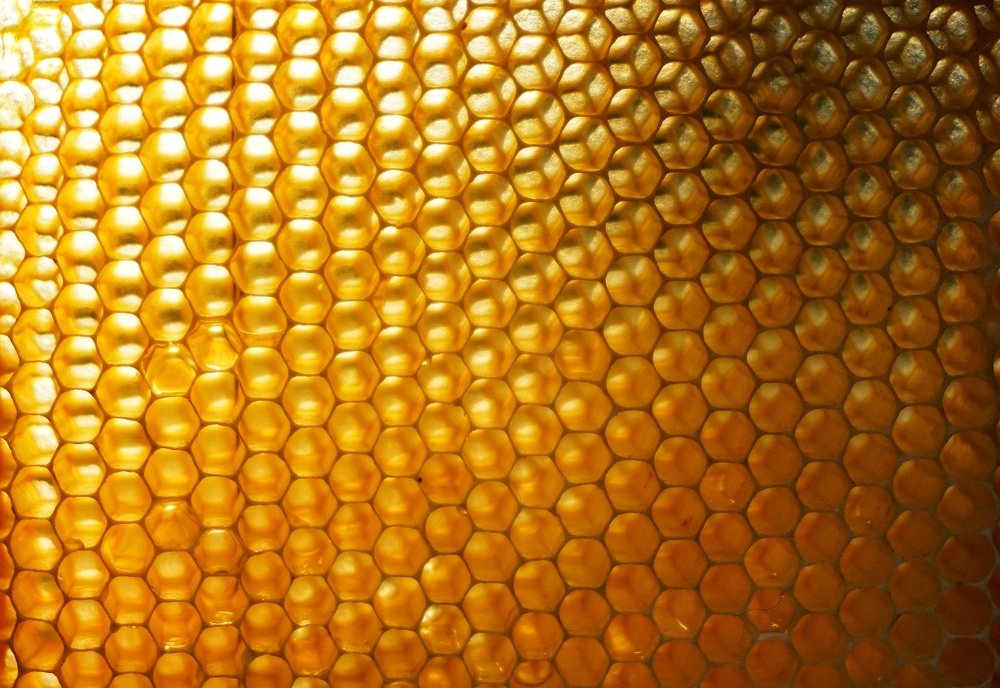 Чудо природы