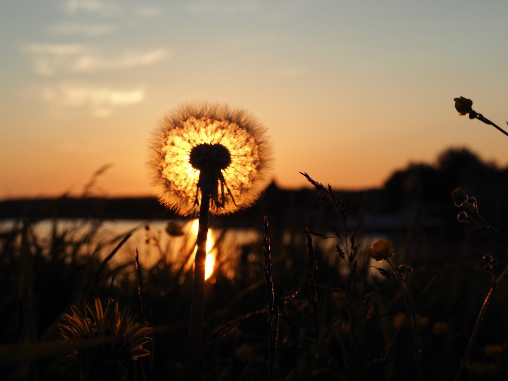 На закате...