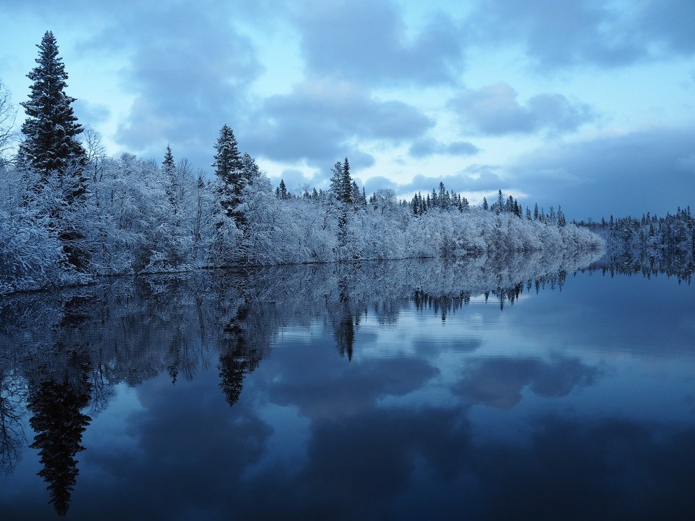Зимнее отражение.