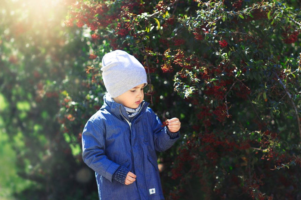 Photograph by Алиса Терновая