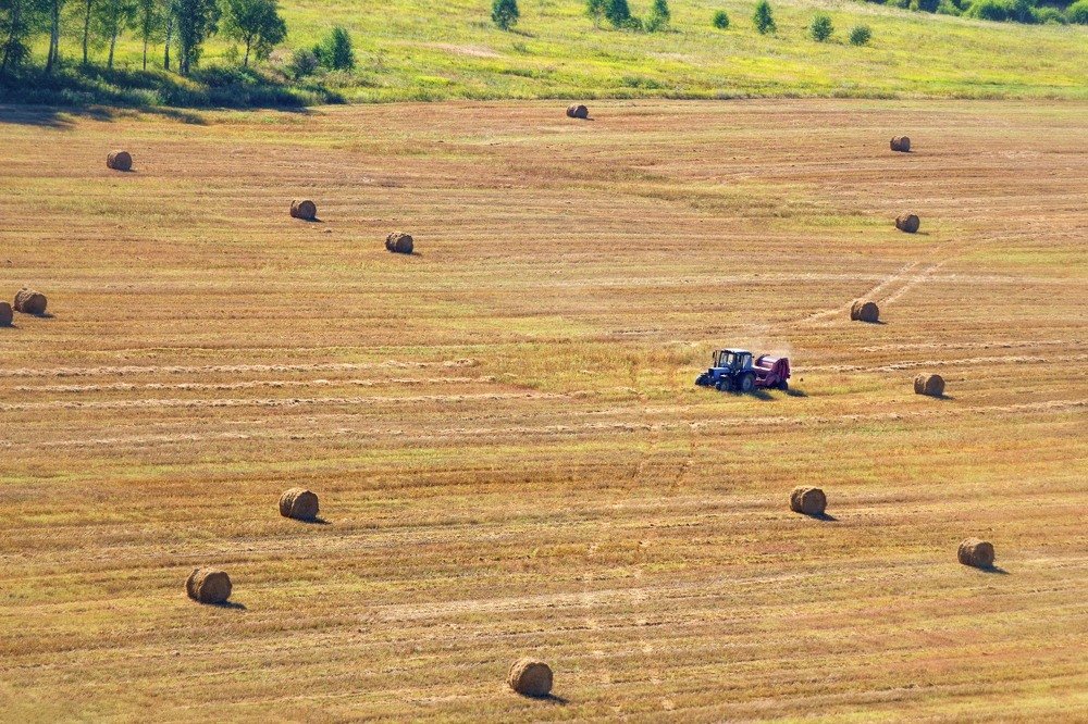 С высоты птичьего полета!