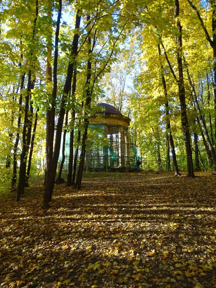 Времена года в усадьбе Строгановых (Братцево. Тушино. 2018-2019гг)