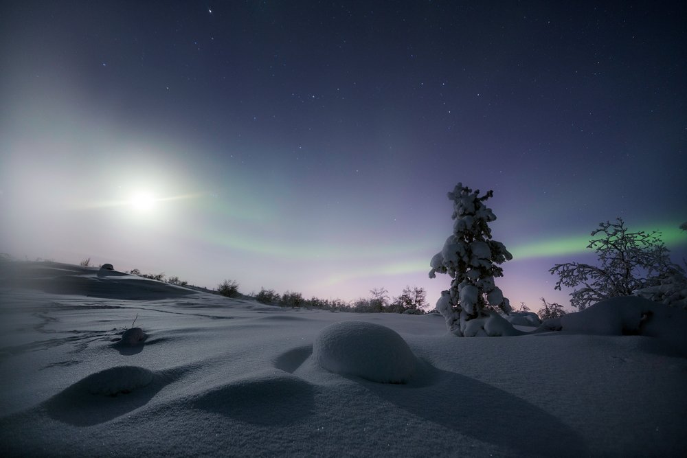 Photograph by Парамонов Григорий