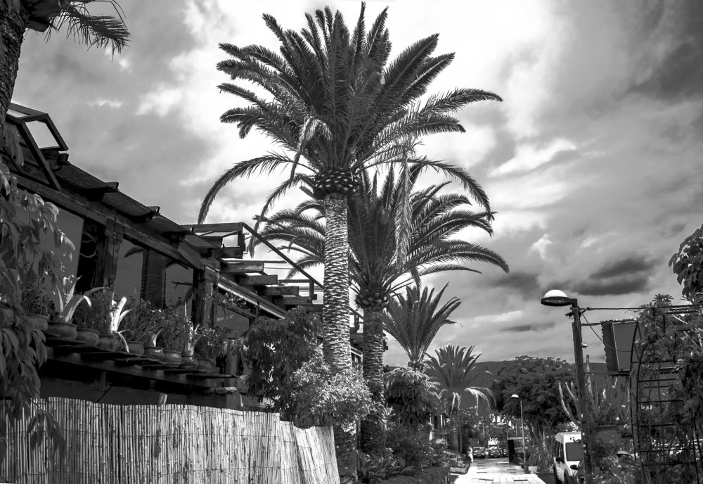 Photograph by Serhij Kharchenko