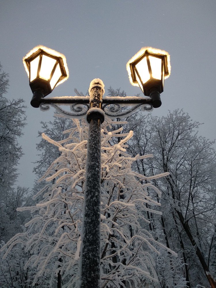 Photograph by Марина Мишина