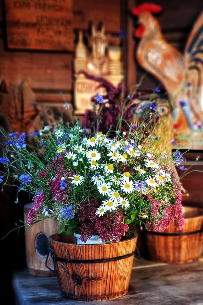 Photograph by Marcin Sokolowski - maarew