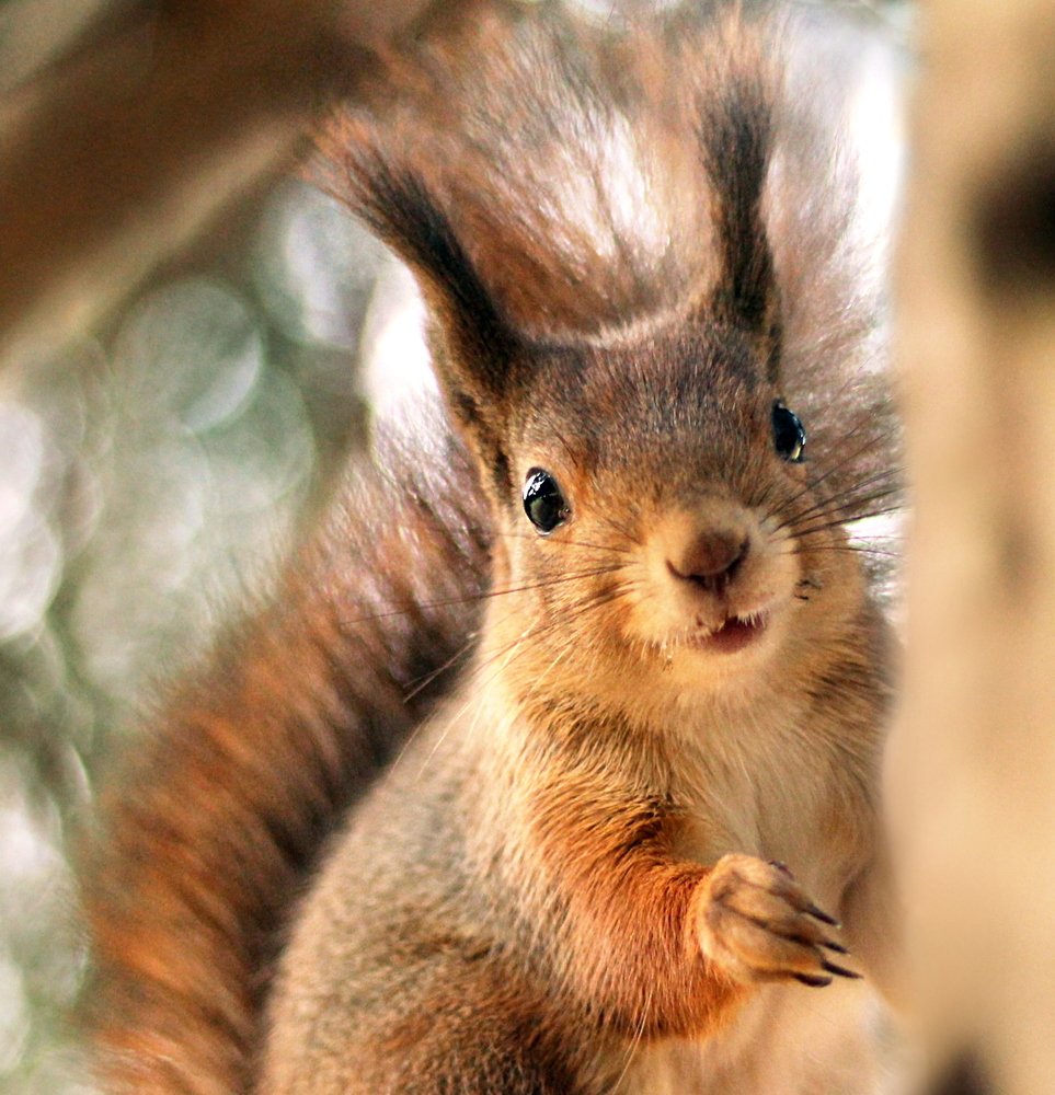 С первого взгляда