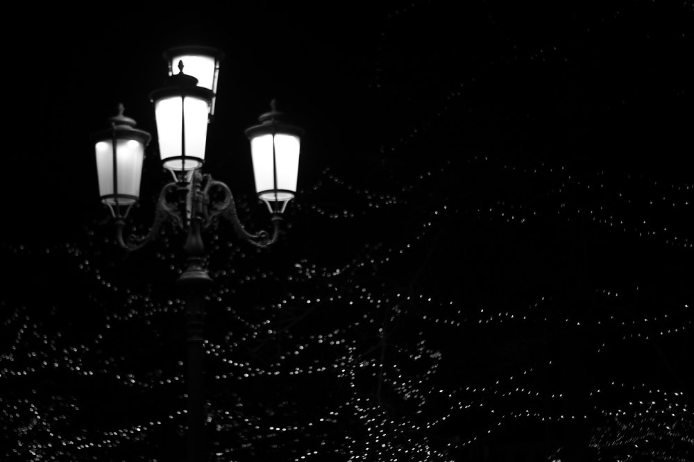 Photograph by Volha Shahoika