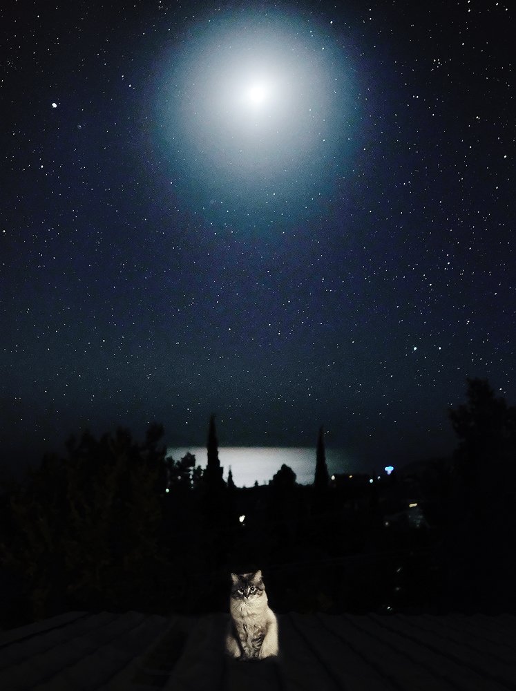 Photograph by Тая Лайт