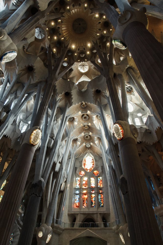 Фотография автора Алёна Новосельцева