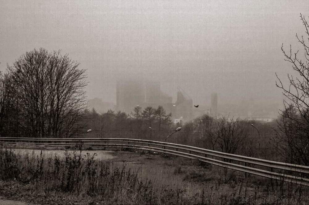 Photograph by Алексей Стрижаков