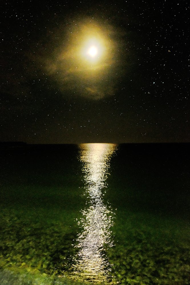 Photograph by Тая Лайт