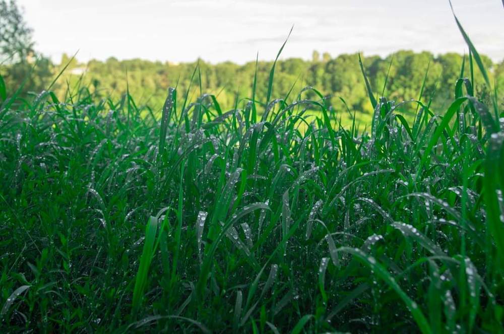 Photograph by Алексей Стрижаков