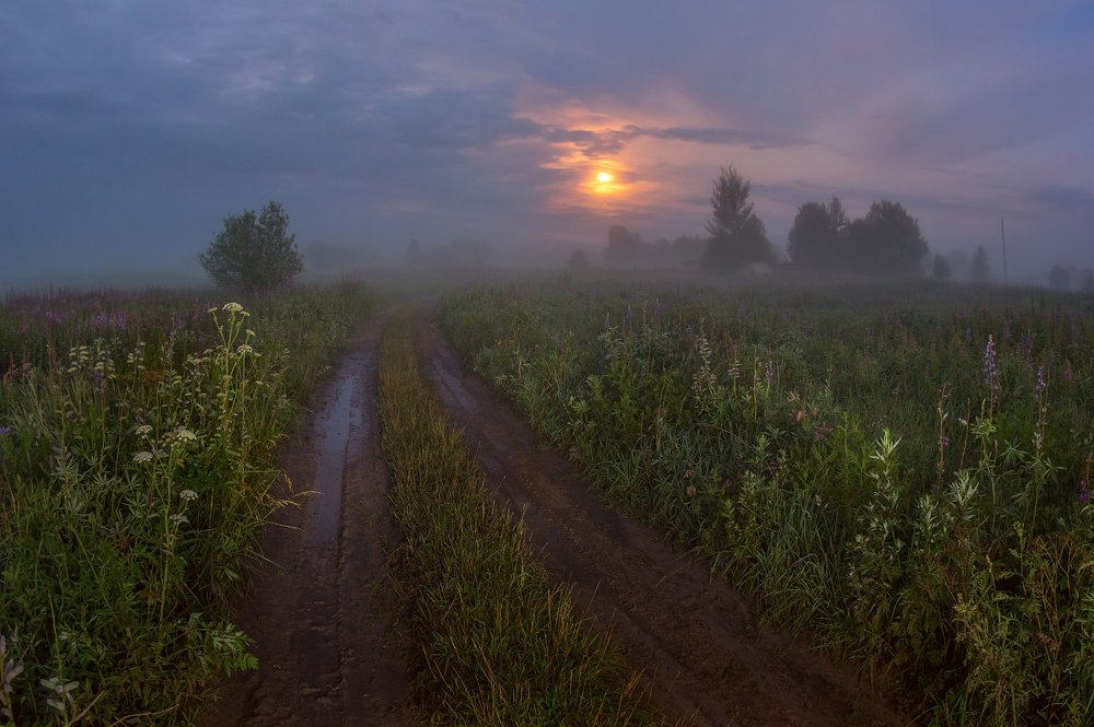 Photograph by Марина Мурашова