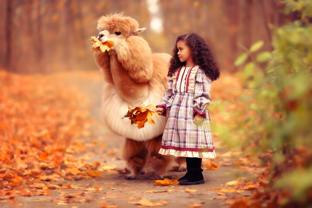 Photograph by Светлана Денискина