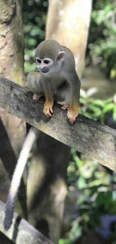 Photograph by Hellen de Carvalho