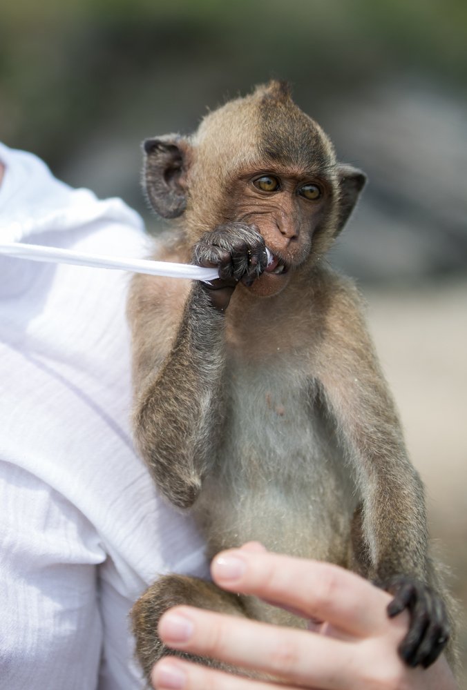 Photograph by Анастасия Ломаева