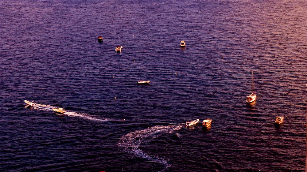 Photograph by Olinda Garcia Favre