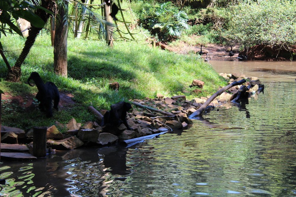 Photograph by Régis Santos