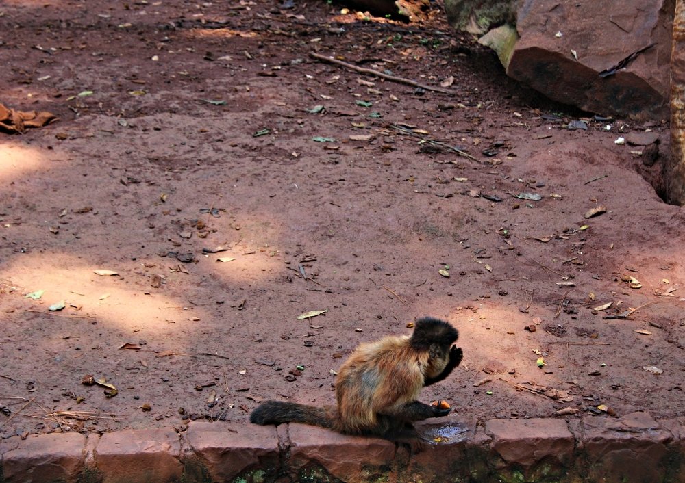 Photograph by Régis Santos