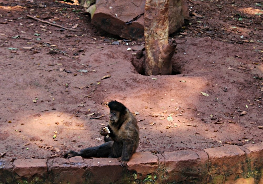 Photograph by Régis Santos