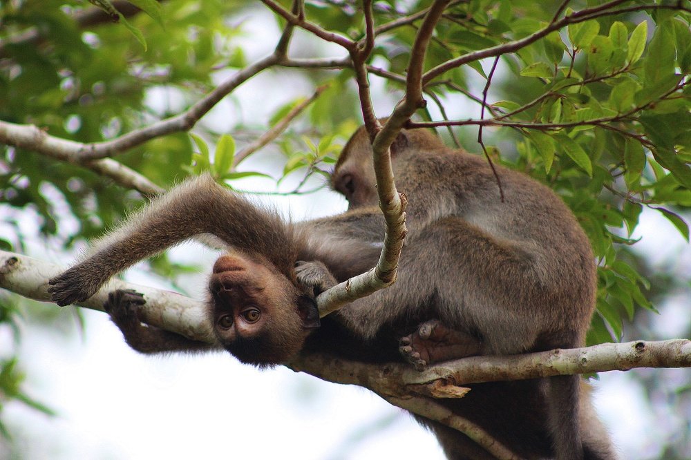 Photograph by Deirdre Julius Kulip