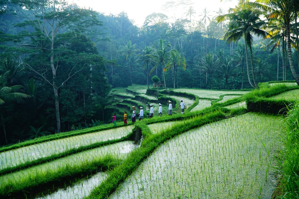 Photograph by I Wayan Gunayasa