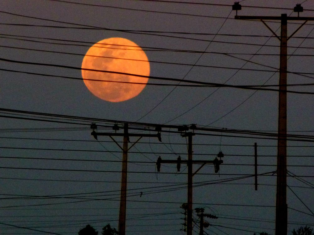 Photograph by wilfredo rojas