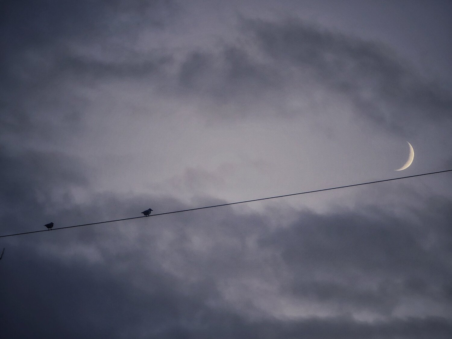 Photo #3969721