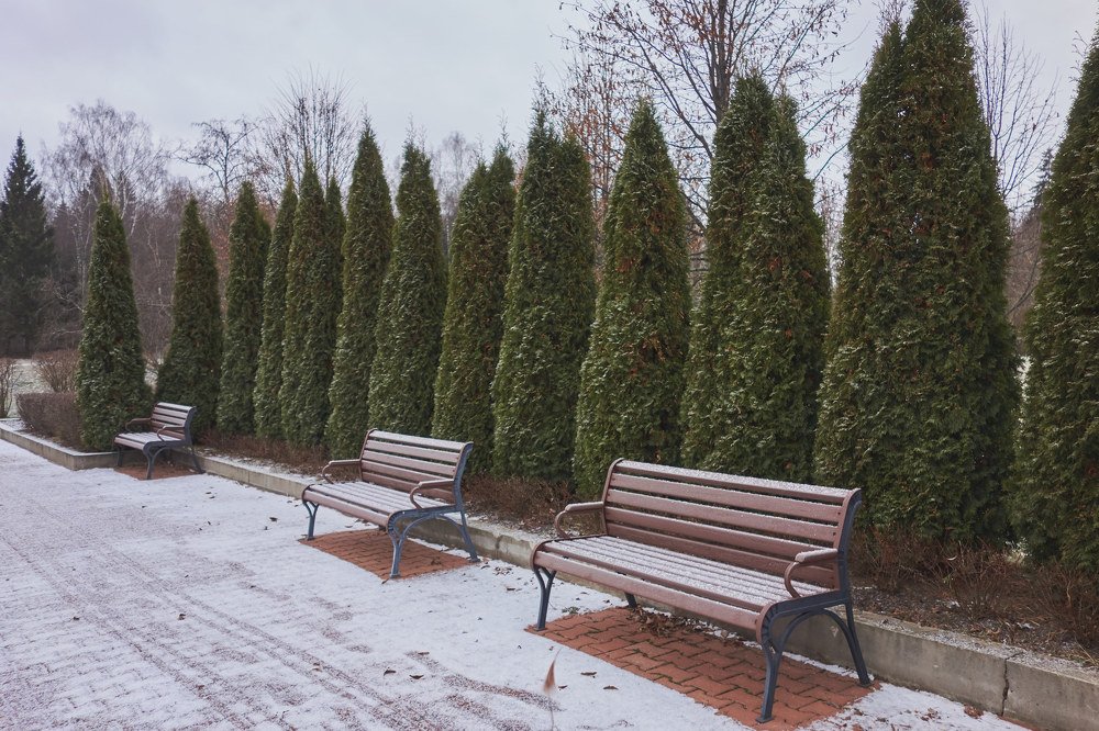 Photograph by Алексей Приешкин