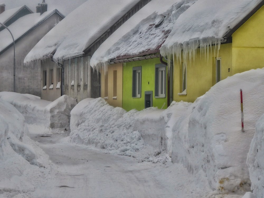 Photo #3969764