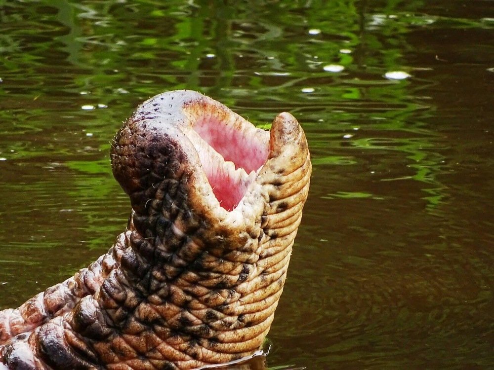 Photograph by Mohanraj Murugesan