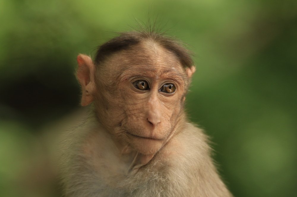 Photograph by Mohanraj Murugesan