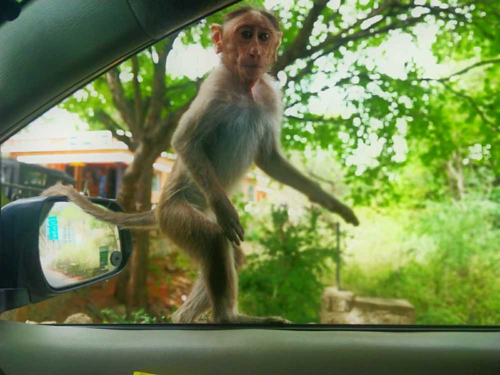 Photograph by Mohanraj Murugesan