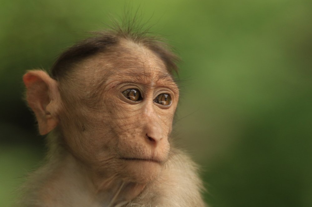 Photograph by Mohanraj Murugesan