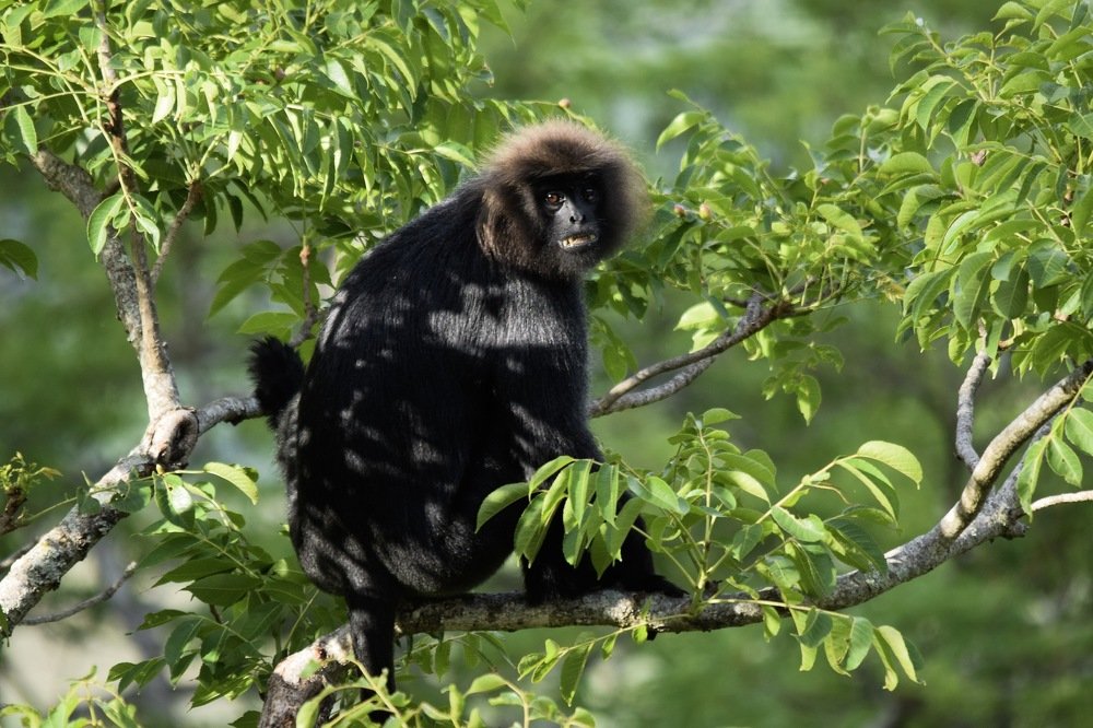 Photograph by Mohanraj Murugesan