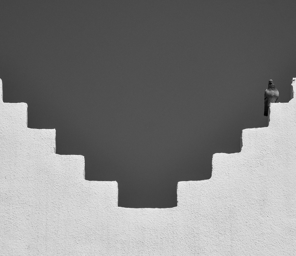 Photograph by Samaneh Beikpoor