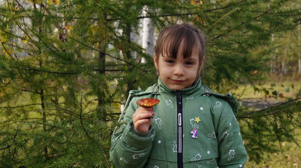 Photograph by Иван Кирилков