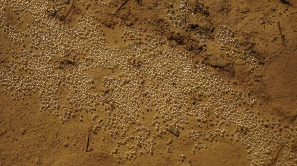 Photograph by Иван Кирилков