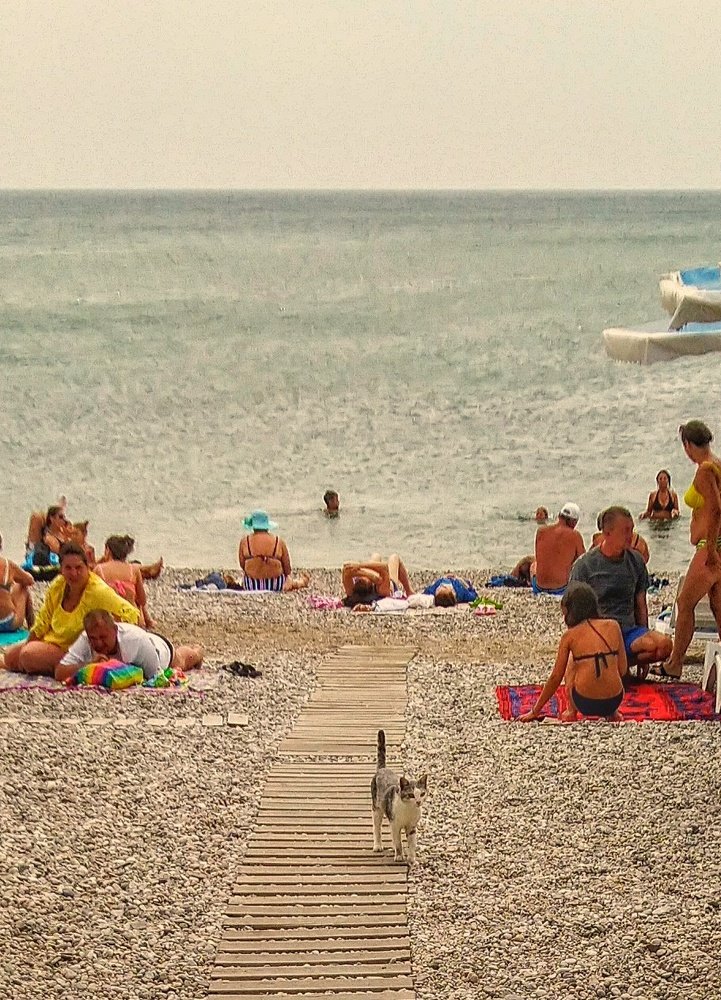 Photograph by Анна Матецкая