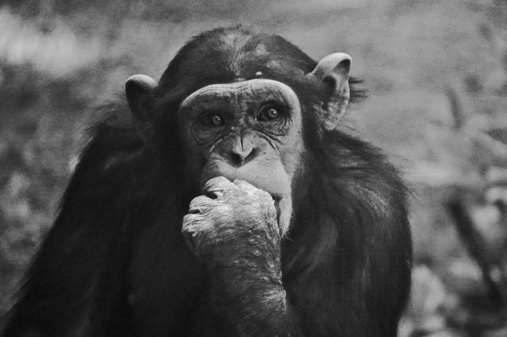 Photograph by Наталья Пирогова