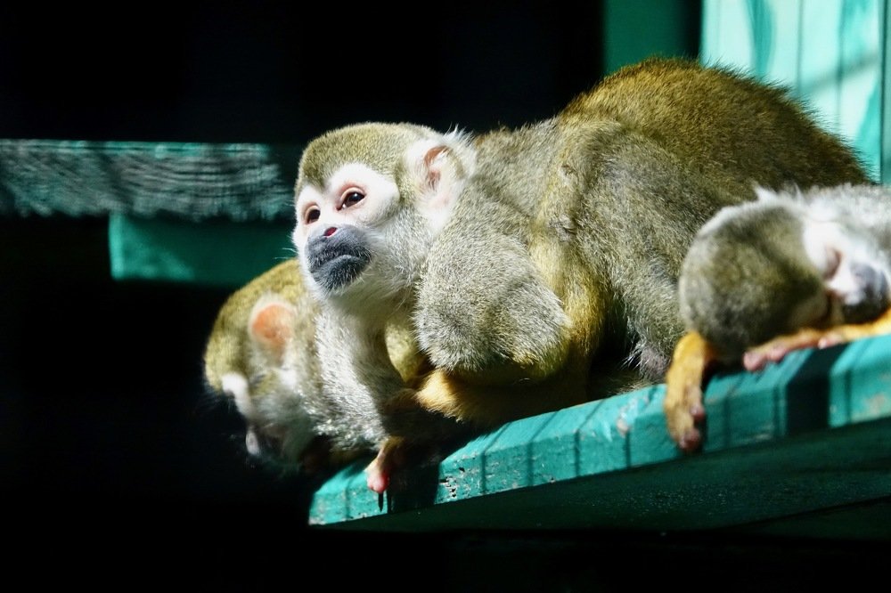 Photograph by Наталья Пирогова