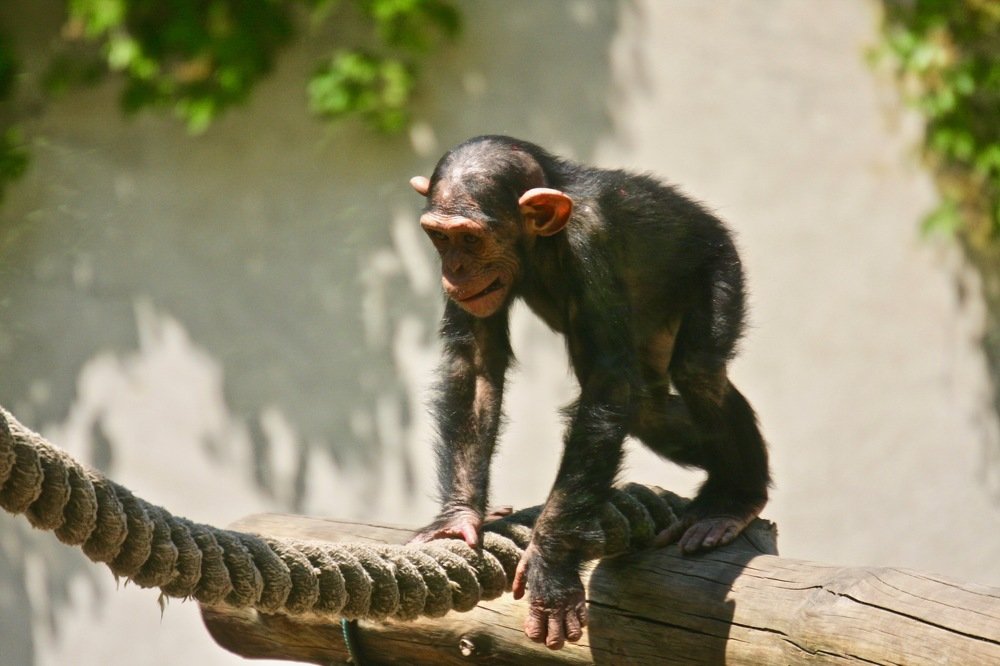 Photograph by Наталья Пирогова