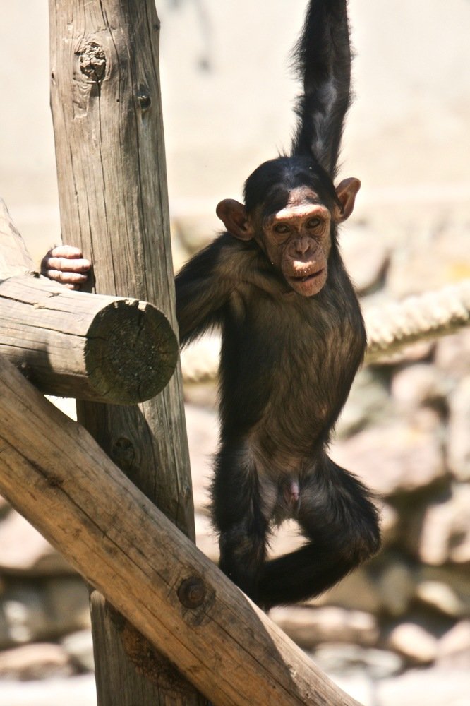 Photograph by Наталья Пирогова