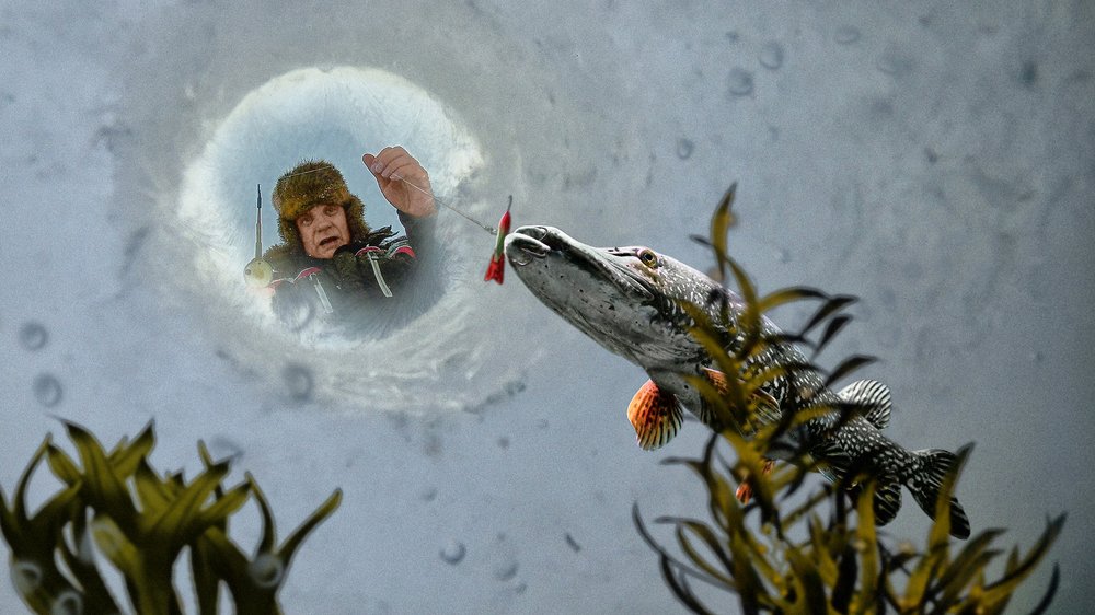 Photograph by Ринат Валиев