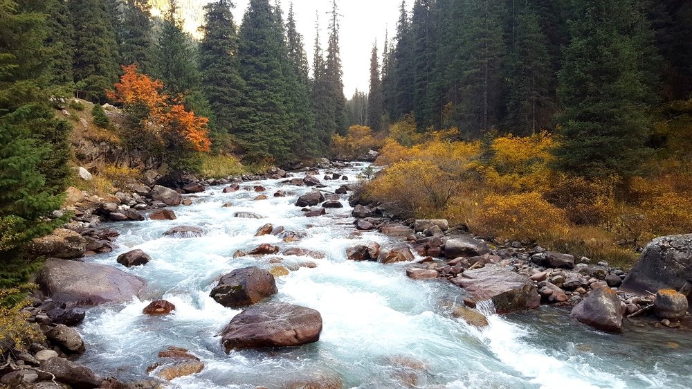 Find your way to freedom