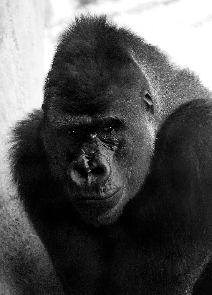 Photograph by Сергей Заболотских