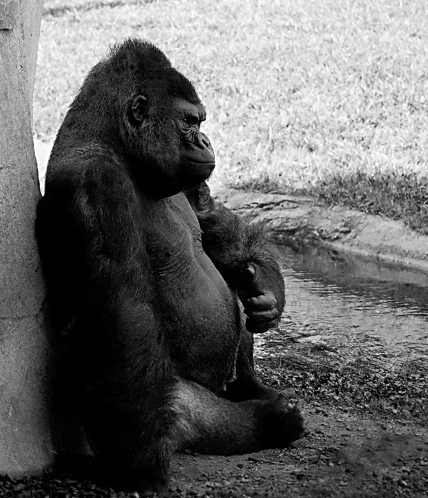 Photograph by Сергей Заболотских