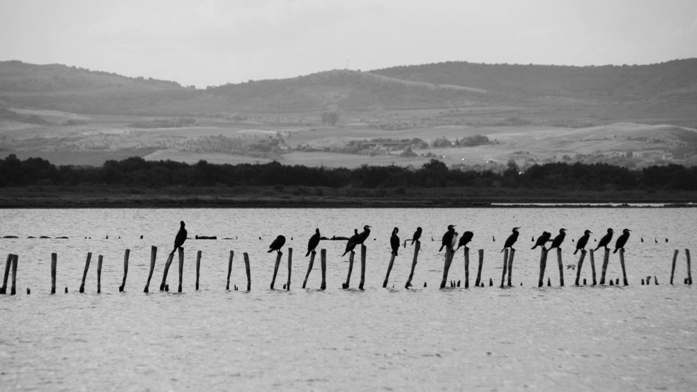 Photograph by Валерия Маркова